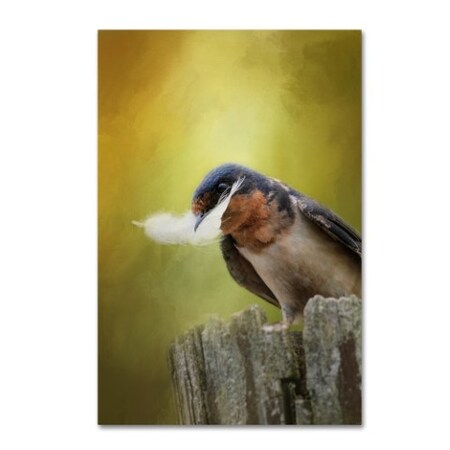 Trademark Fine Art Jai Johnson 'A Feather For Her Nest' Canvas Art, 12x19 ALI14382-C1219GG